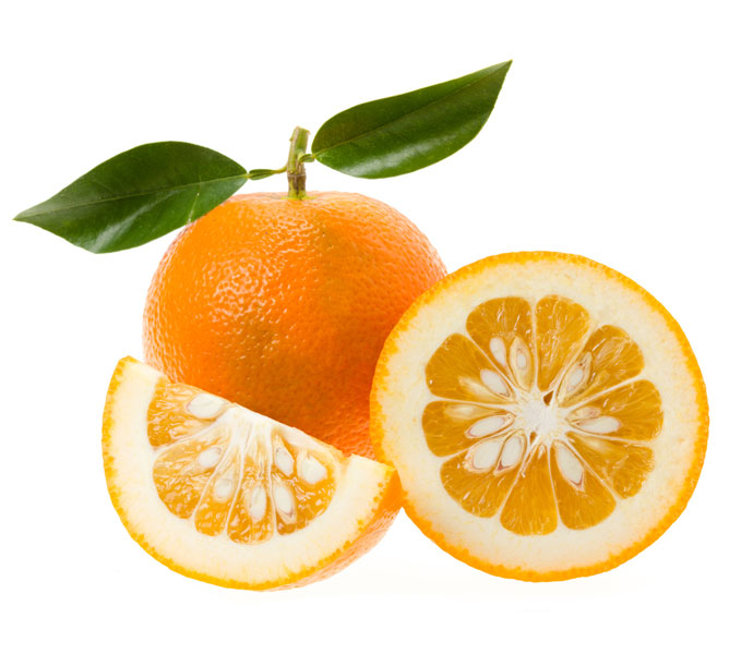 نهال نارنج پیوندی